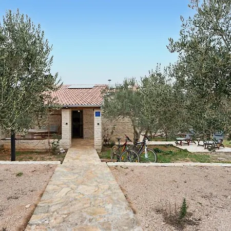 Awesome In Prosika With Wifi *