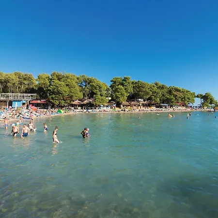 Awesome In Prosika With Wifi *