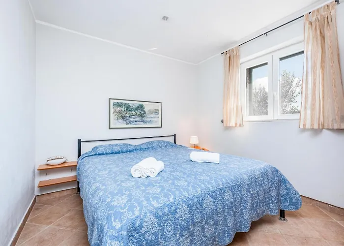 Awesome In Prosika With Wifi